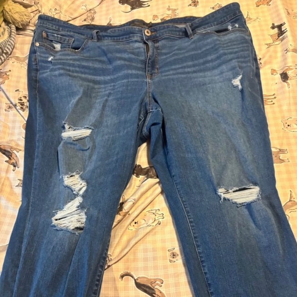 Plus Size Torrid Jeans - Picture 1 of 4